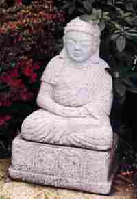 Buddha F-24