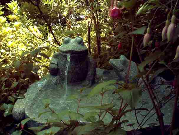 froschbrunnen2