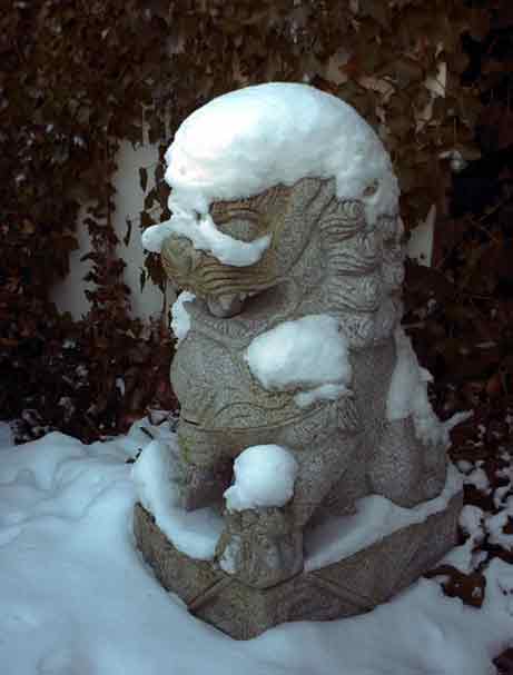 th_winter