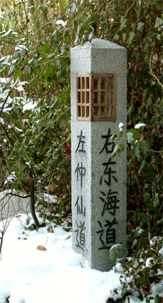 michi_sr-s