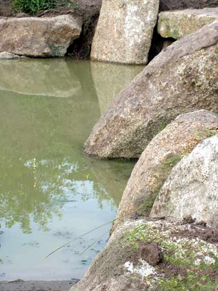 njg-bild4