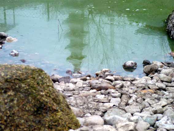 njg-bild6